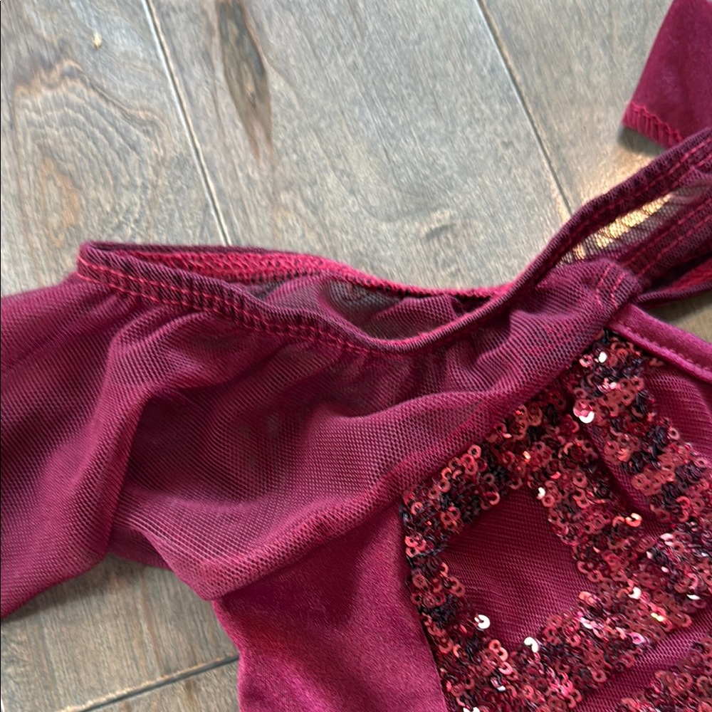 Set of 2 Dance Costumes- Burgundy Sequin Bodysuits - Picture 4 of 10